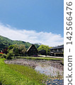 白川鄉，一個茅草屋頂的村莊，還有它的池塘－世界遺產 142566476