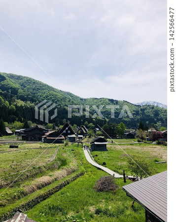 Shirakawa-go in spring, Shirakawa Village, Ono District, Gifu Prefecture, World Heritage Site Shirakawa-go in spring, Shirakawa Village, Ono District, Gifu Prefecture, World Heritage Site 142566477