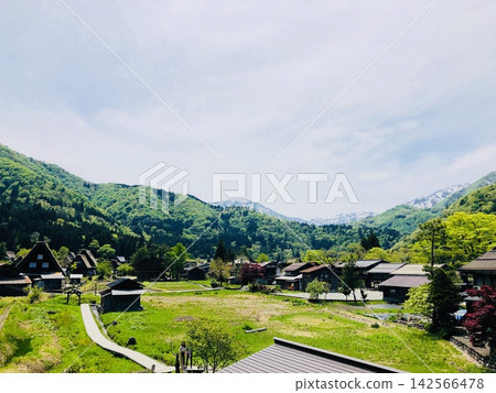 白川鄉,世界遺產地,綠樹環繞。 白川鄉,世界遺產地,綠樹環繞。 142566478