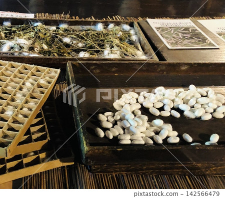 繭,絲線 繭,絲線 142566479