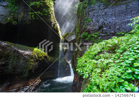 群馬縣水上町紀之澤大澤瀑布的陽光 群馬縣水上町紀之澤大澤瀑布的陽光 142566741