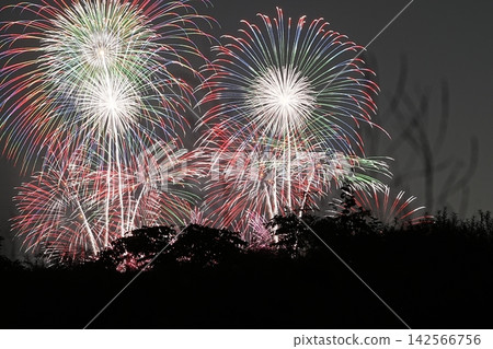 絢麗的煙火照亮了莫埃雷努瑪湖上空的夜空。 絢麗的煙火照亮了莫埃雷努瑪湖上空的夜空。 142566756