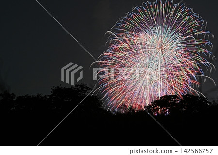 Spectacular fireworks illuminate the night sky over Moerenuma Lake. 142566757