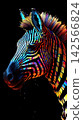 Close up of zebra head with colorful abstract stripes on black background 142566824