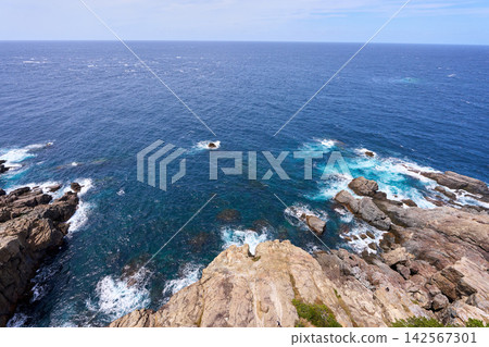 海 海 142567301