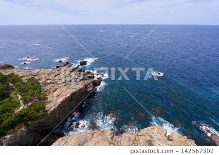 海 142567302