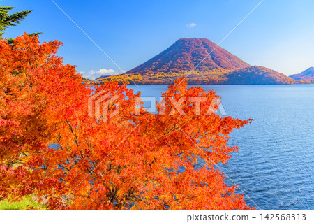 On a clear autumn morning, Mount Haruna and Lake Haruna, both covered in autumn foliage, can be seen from the Haruna Lake scenic road, seen through the maple trees to the lower left. On a clear autumn morning, Mount Haruna and Lake Haruna, both covered in autumn foliage, can be seen from the Haruna Lake scenic road, seen through the maple trees to the lower left. 142568313