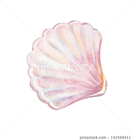 Closed pink seashell half valve with shiny nacre pearl luster. Hand drawn watercolor illustration isolated on. Realistic scallop sea shell art element for marine design and summer craft. Closed pink seashell half valve with shiny nacre pearl luster. Hand drawn watercolor illustration isolated on. Realistic scallop sea shell art element for marine design and summer craft. 142568411