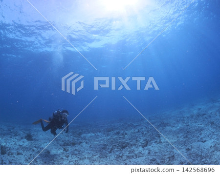 潛水員在石垣島的蔚藍海底暢遊 潛水員在石垣島的蔚藍海底暢遊 142568696