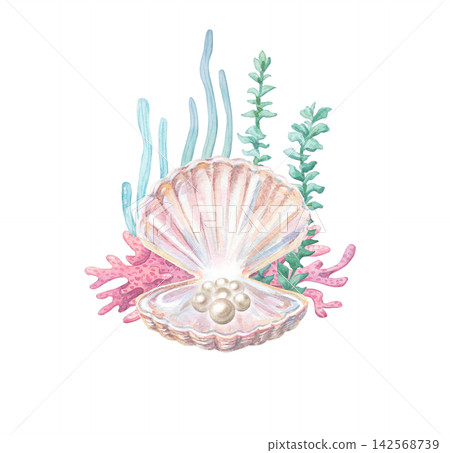 Open pink seashell with nacre luster holds single natural white pearl. Underwater marine scene with corals and seaweeds. Watercolor illustration isolated on Open pink seashell with nacre luster holds single natural white pearl. Underwater marine scene with corals and seaweeds. Watercolor illustration isolated on 142568739