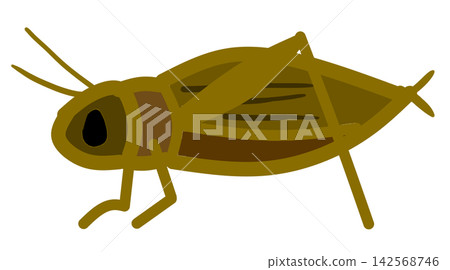 Cricket Cricket 142568746