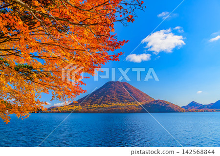 On a clear autumn morning, Mount Haruna and Lake Haruna, both covered in autumn foliage, can be seen from the Haruna Lake scenic road, through the maple trees in the upper left. On a clear autumn morning, Mount Haruna and Lake Haruna, both covered in autumn foliage, can be seen from the Haruna Lake scenic road, through the maple trees in the upper left. 142568844