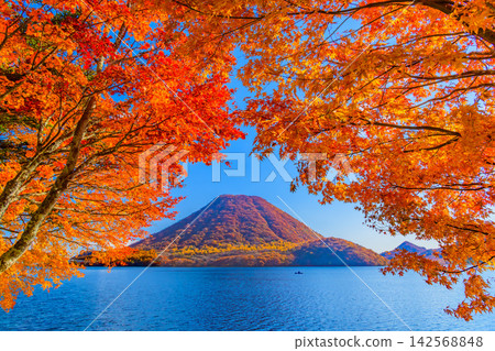 On a clear autumn morning, Mount Haruna, completely covered in autumn foliage, can be seen from the Haruna Lake scenic road, through a curtain of autumn leaves on both sides and above. On a clear autumn morning, Mount Haruna, completely covered in autumn foliage, can be seen from the Haruna Lake scenic road, through a curtain of autumn leaves on both sides and above. 142568848