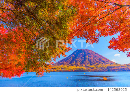 在一個晴朗的秋日早晨，從榛名湖風景道上可以看到榛名山，山頂樹木的葉子在風中飄落，秋色宜人。 142568925