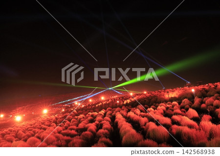 A once-in-a-lifetime experience: the colorful light-up show of kochia plants at Hitachi Seaside Park. A once-in-a-lifetime experience: the colorful light-up show of kochia plants at Hitachi Seaside Park. 142568938