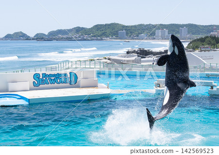 Kamogawa Sea World Orca Show Kamogawa Sea World Orca Show 142569523