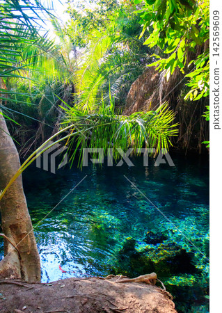 Chemka hot springs (Kikuletwa) near Moshi,  Tanzania 142569609