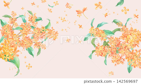 一幅描繪芬芳橄欖花的水彩插畫。橫向構圖設計，營造出秋天的氣氛。 142569697