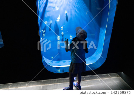 一個女孩在水族館觀察水母。 142569875