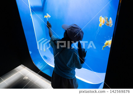一個女孩在水族館觀察水母。 一個女孩在水族館觀察水母。 142569876