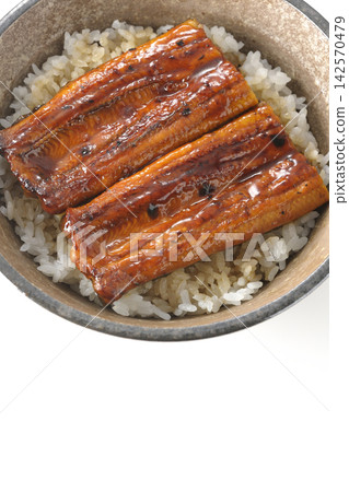 A single serving of eel rice bowl photographed against a white background. A single serving of eel rice bowl photographed against a white background. 142570479