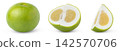 Isolated sweetie grapefruit set. Whole sweetie citrus, oroblanco, pomelit or pomelo and cut in a half of sweetie grapefruit. Isolated cut in a slice of sweetie. 142570706