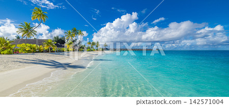 Inviting powdery white shore meeting calm vivid azure lagoon distant palms blue sky tropical paradise coast. Summer travel vacation landscape scenic. Exotic getaway wallpaper backdrop decor Inviting powdery white shore meeting calm vivid azure lagoon distant palms blue sky tropical paradise coast. Summer travel vacation landscape scenic. Exotic getaway wallpaper backdrop decor 142571004