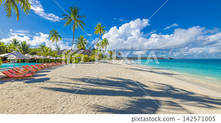 Gorgeous panoramic lush palm island powdery shore bright turquoise lagoon blue sky tropical paradise coast. Summer travel vacation landscape scenic. Exotic getaway banner wallpaper decor Gorgeous panoramic lush palm island powdery shore bright turquoise lagoon blue sky tropical paradise coast. Summer travel vacation landscape scenic. Exotic getaway banner wallpaper decor 142571005