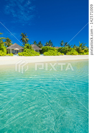 Idyllic tropical beach paradise powdery white shore vivid azure lagoon lush palms blue sky wispy clouds. Perfect summer travel vacation landscape holiday sunny. Exotic honeymoon getaway relax leisure Idyllic tropical beach paradise powdery white shore vivid azure lagoon lush palms blue sky wispy clouds. Perfect summer travel vacation landscape holiday sunny. Exotic honeymoon getaway relax leisure 142571009