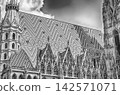Ornate Gothic architecture of St. Stephen's Cathedral's roof in Vienna 142571071