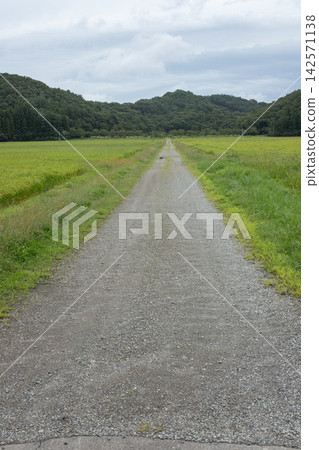 一條直路 一條直路 142571138