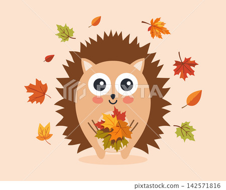 Cute Hedgehog Holding Autumn Leaves. Fall Illustration. Cute Hedgehog Holding Autumn Leaves. Fall Illustration. 142571816