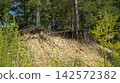 Two trees on a cliff side of a mountain during the day 142572382