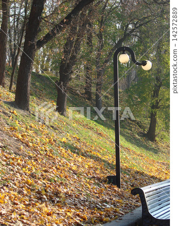Autumn park path covered with fallen yellow leaves, trees and black street lamps in soft focus, creating a peaceful October landscape. Autumn park path covered with fallen yellow leaves, trees and black street lamps in soft focus, creating a peaceful October landscape. 142572889