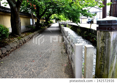 金澤市：大之所水道、步道和鬱鬱蔥蔥的綠化 142572916