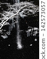 雪景和瀑布 142573057
