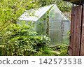 greenhouse in backyard of village house 142573538