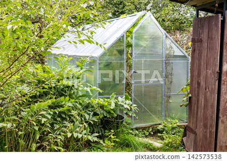 greenhouse in backyard of village house greenhouse in backyard of village house 142573538