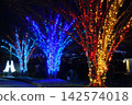  Christmas illumination 142574018