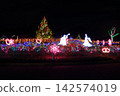 Winter Christmas Tree 142574019