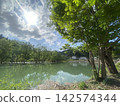 Submerged forest 3 142574344