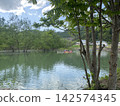 Submerged forest 1 142574345