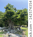 primeval forest 5 142574354