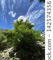 primeval forest 7 142574356