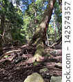primeval forest 6 142574357