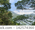 Nature 2 142574360