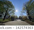 Natural residential area 2 142574363