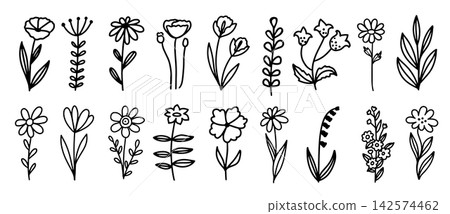 Floral illustrations template design. Floral illustrations template design. 142574462