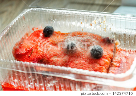 Fruit cake covered with white and black soft mold in plastic container, selective focus Fruit cake covered with white and black soft mold in plastic container, selective focus 142574710