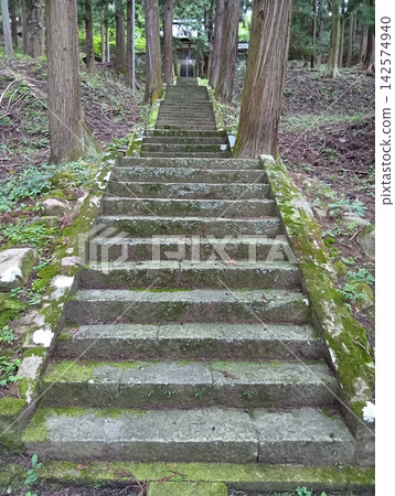 長滿苔蘚的石階 長滿苔蘚的石階 142574940